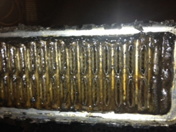 entretien radiateur eau véhicules pays de la loire